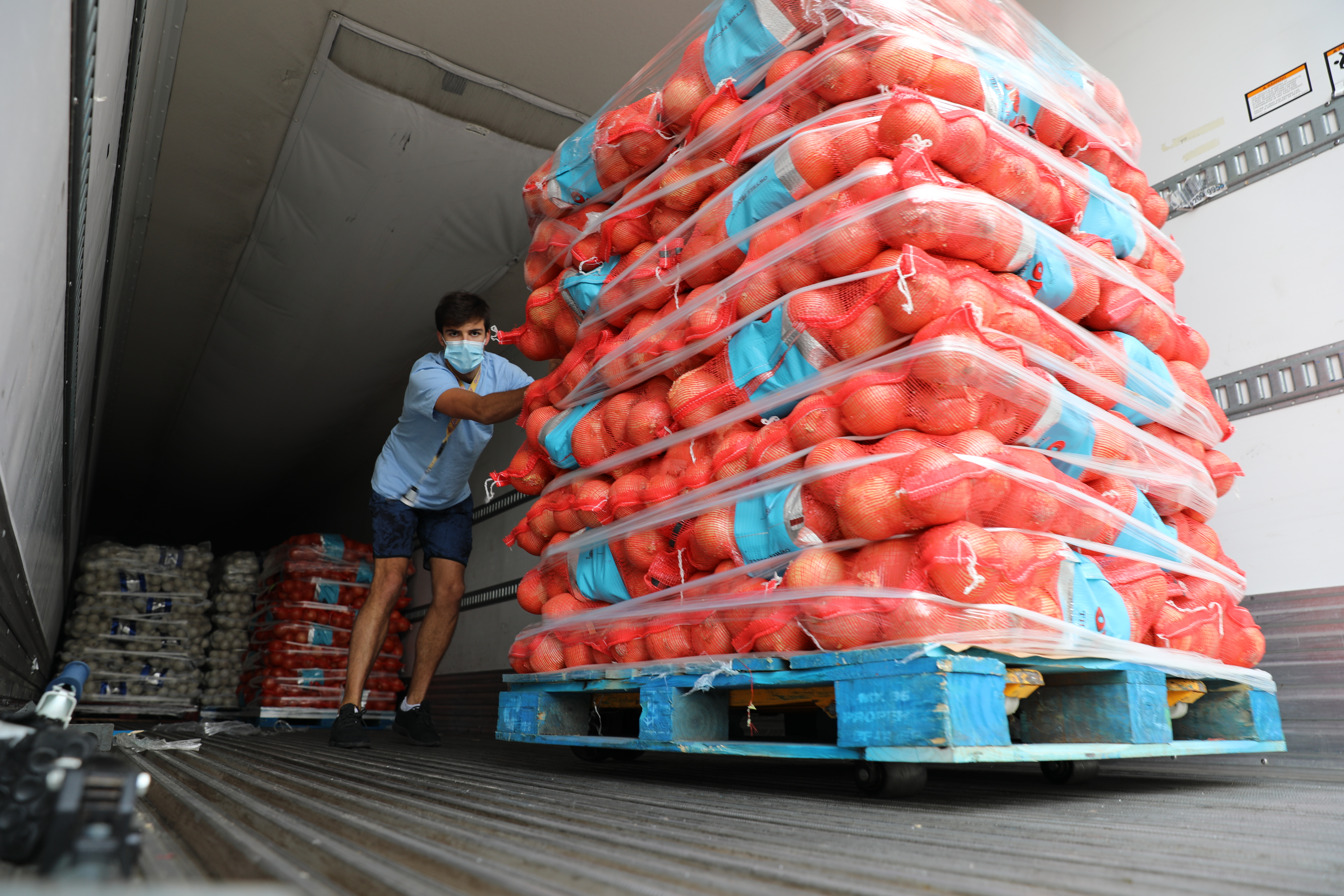 Farm workers harvesting surplus produce